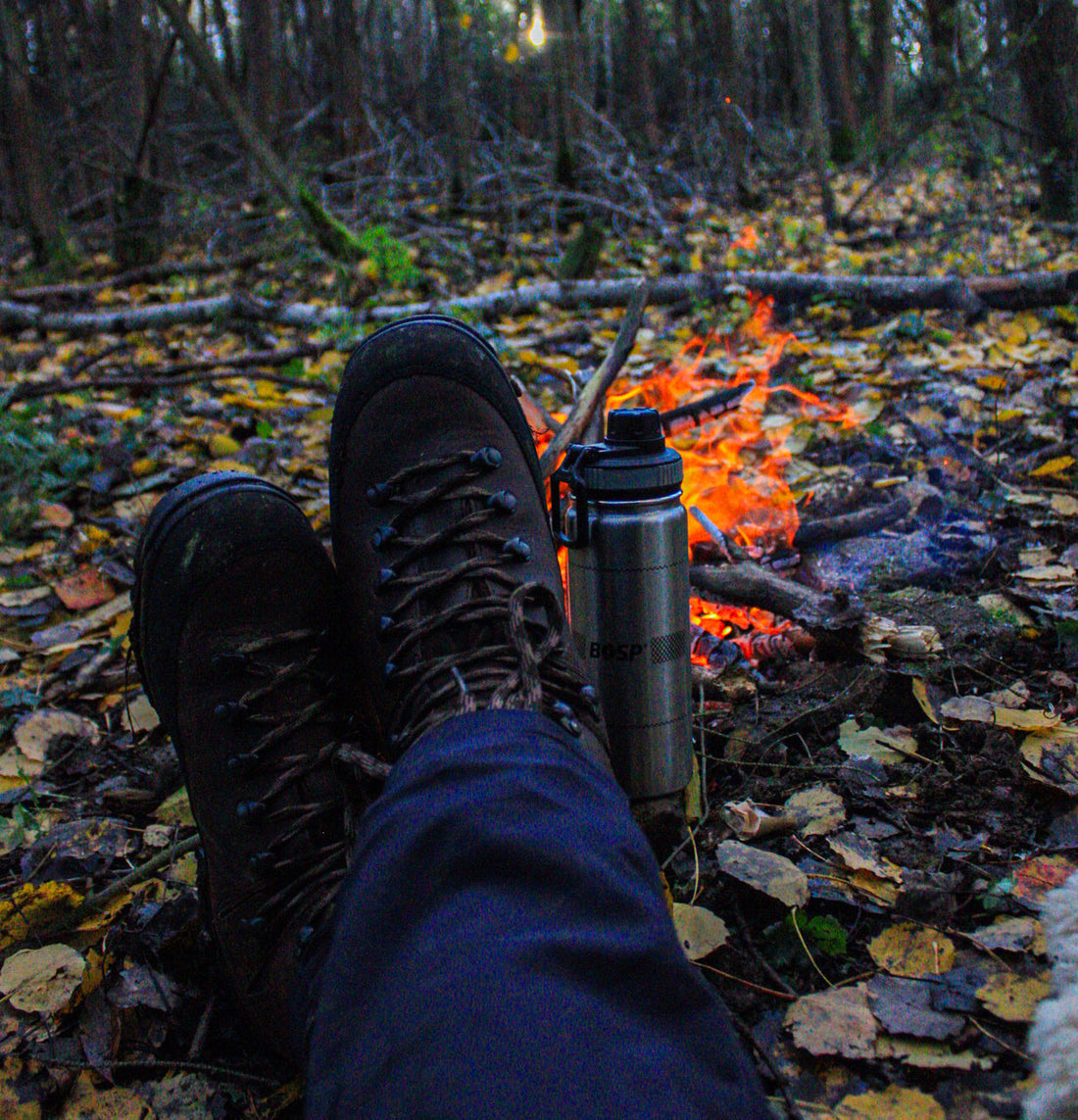 Bushcraft: umenie prežitia a spojenia s prírodou