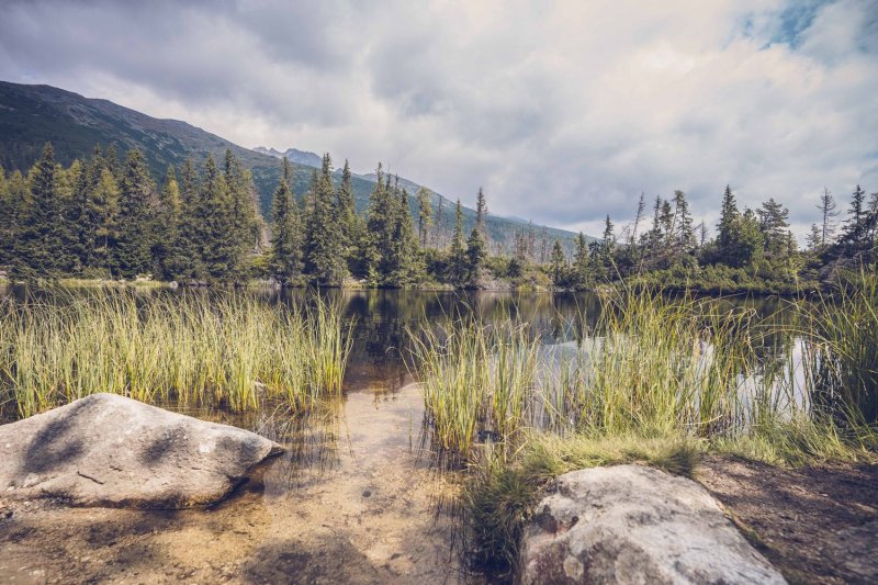 Vyroeben na SLovensku